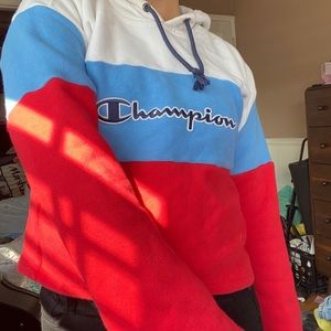 Champion Sweaters